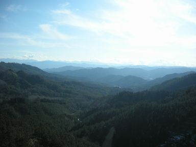 d0079440_9303949.jpg
