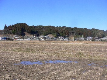 b0041442_21321937.jpg