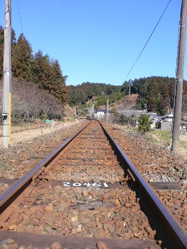 b0041442_21431864.jpg