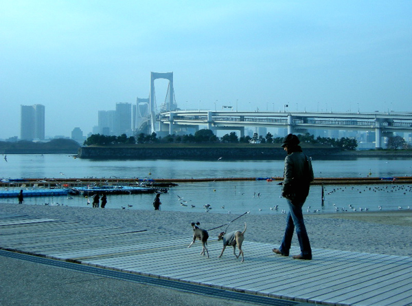 a0082146_4241486.jpg