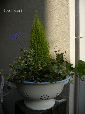 b0142548_23282268.jpg
