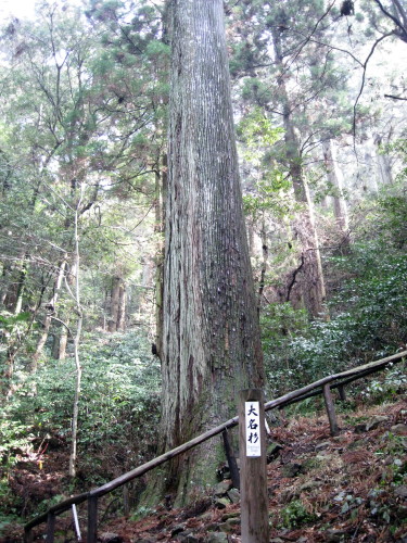 c0179351_2084764.jpg