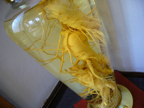f0067354_1850569.jpg