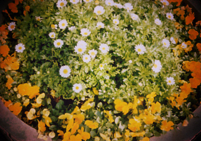 b0008655_0314135.jpg