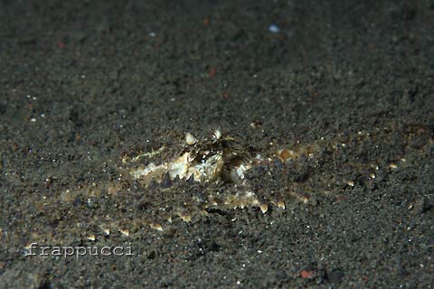 d0056263_100364.jpg
