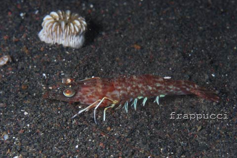 d0056263_1044770.jpg