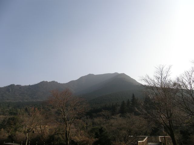 c0042869_6193117.jpg