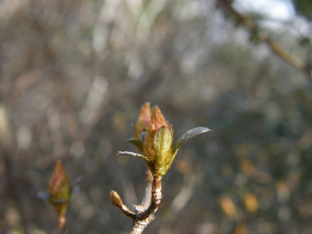 c0042869_6231037.jpg