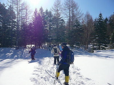 f0182173_1201580.jpg