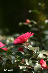 d0108777_13531113.jpg