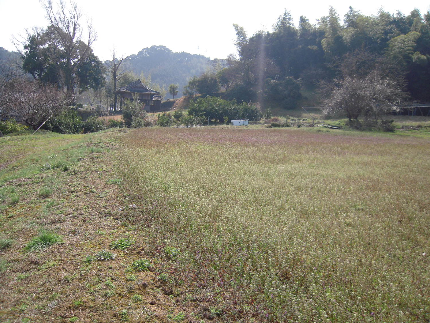 e0168877_22252249.jpg