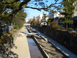 e0008880_140126.jpg