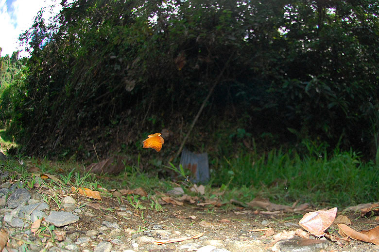 f0090680_20271414.jpg