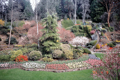 f0104487_21232115.jpg