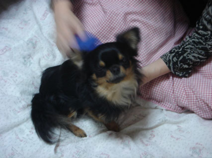 c0192988_1753289.jpg