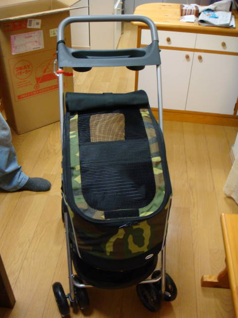 d0098295_23171969.jpg