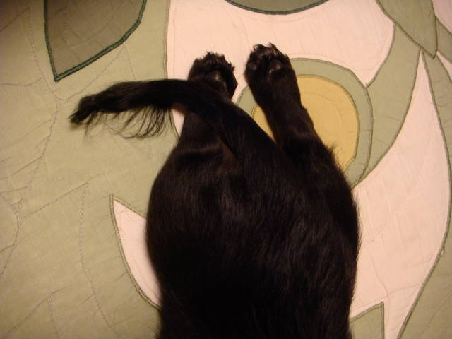 d0098295_2354770.jpg
