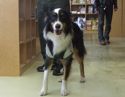 f0077697_1951650.jpg