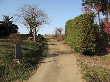 a0117599_2118431.jpg