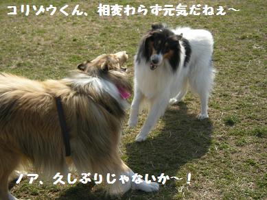 f0081100_23365586.jpg