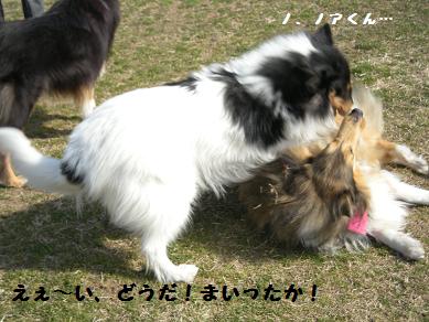 f0081100_23383441.jpg