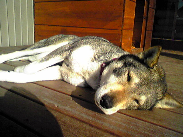 f0079202_2141351.jpg