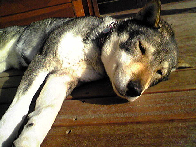 f0079202_2141399.jpg