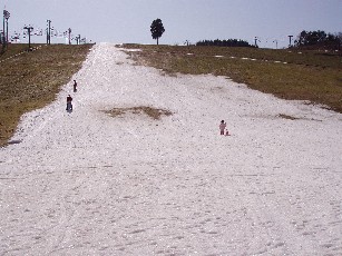 b0115104_2058242.jpg