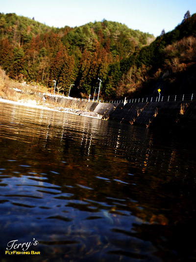 e0009009_2014597.jpg