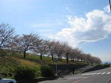 b0125211_212851.jpg