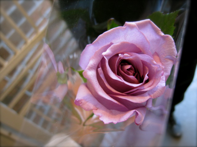 c0120817_14141449.jpg