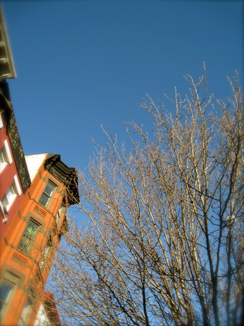 c0120817_1484351.jpg