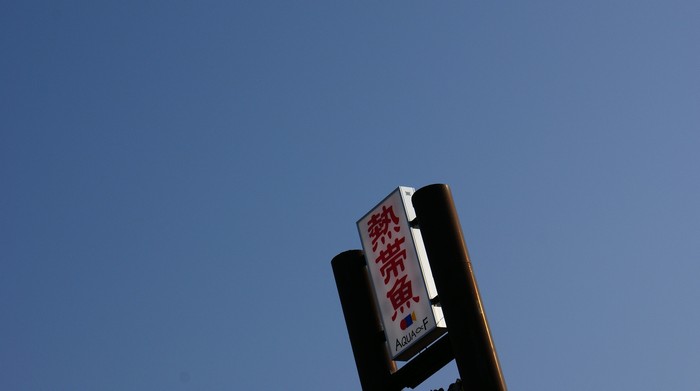 c0119618_8561353.jpg