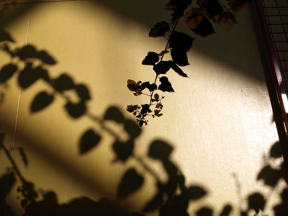 c0145418_16452958.jpg
