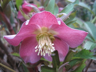 f0139520_9201433.jpg