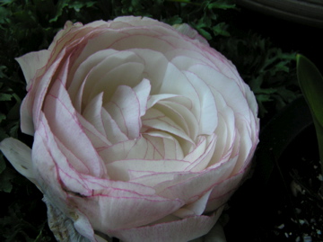 f0128723_03650100.jpg