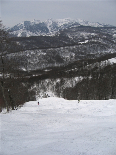 f0040525_14125438.jpg