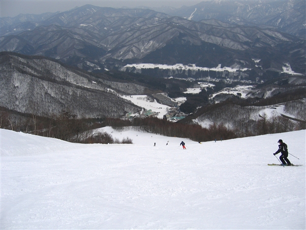 f0040525_1413918.jpg