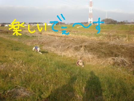 f0176830_10292074.jpg