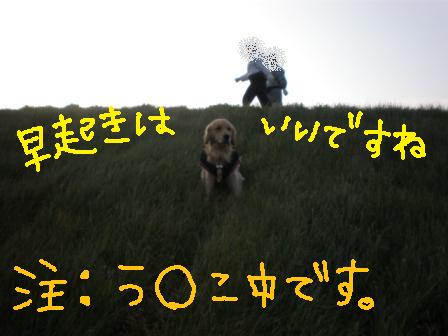 f0176830_10323693.jpg