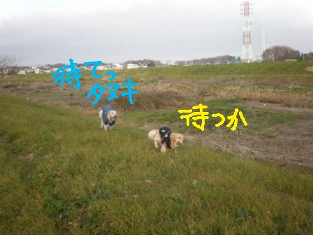 f0176830_10342356.jpg