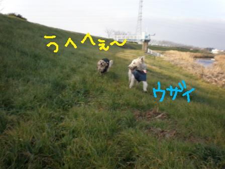 f0176830_1041263.jpg