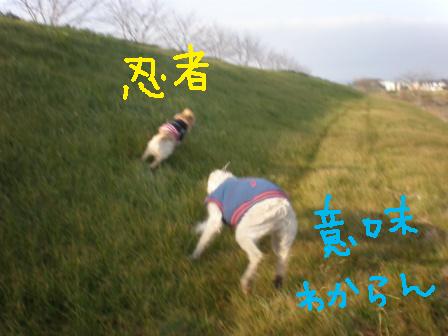 f0176830_1042599.jpg