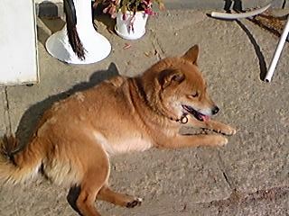 a0080231_1162631.jpg