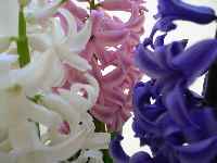 c0133533_0484551.jpg