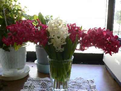 c0133533_1233950.jpg