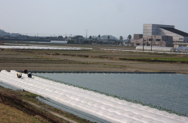 f0042737_17533517.jpg