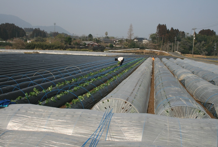 f0042737_1824542.jpg