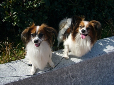 e0100046_21223879.jpg