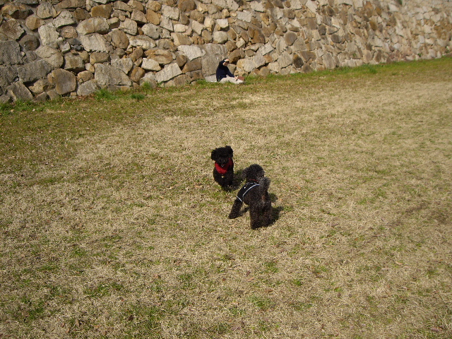 e0098547_1622265.jpg
